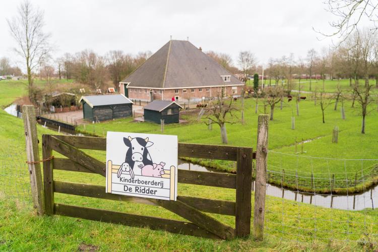 kinderboerderij de ridder